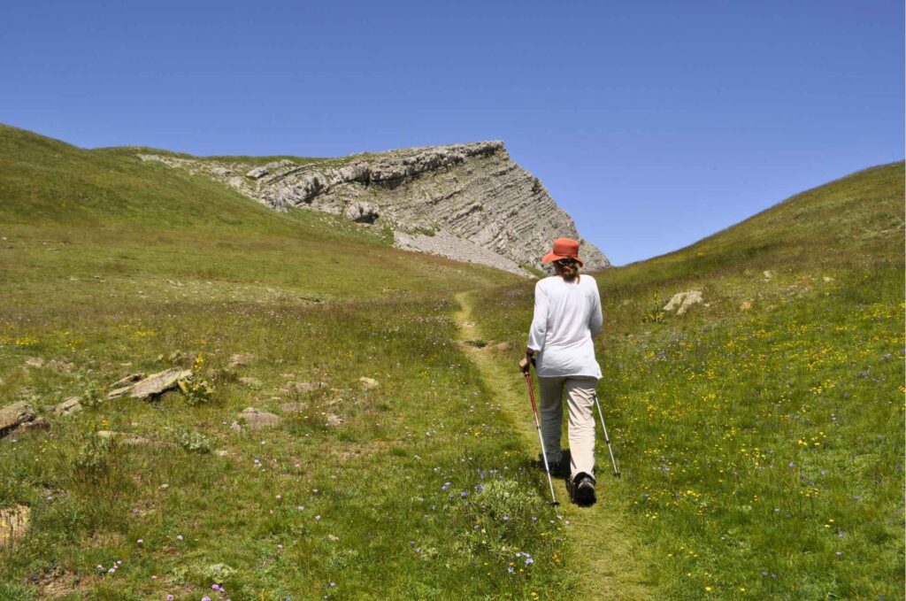 Green Mountain Trails in Zagori Hiker walking on a lush green mountain path under a clear sky in Zagori - Hike Greece